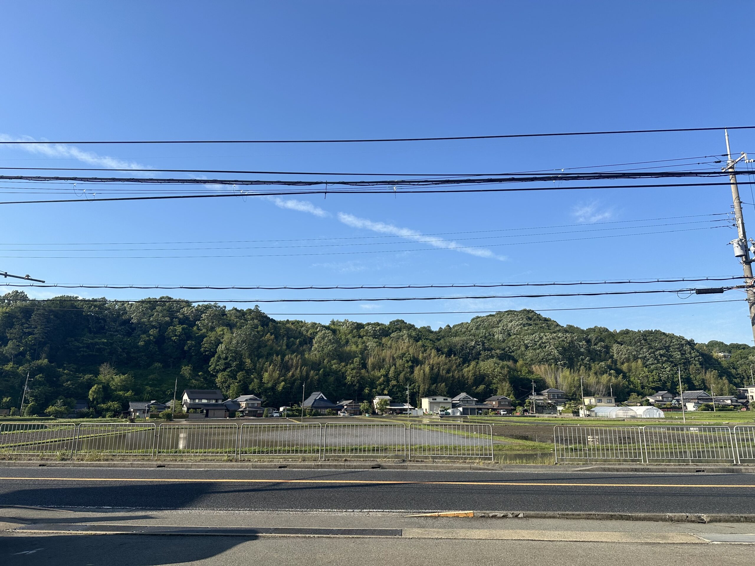 チャンミー到来🌀！？